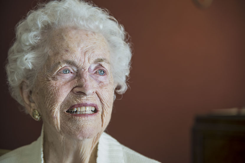 Temple Akiba Camp website design