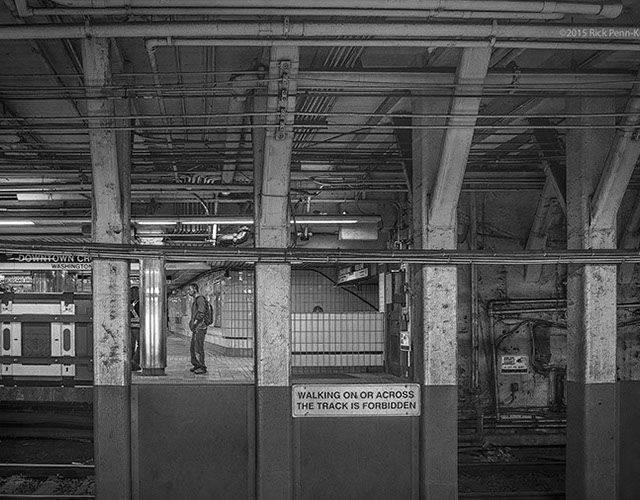 Temple Akiba Camp website design