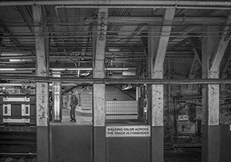 Temple Akiba Camp website design