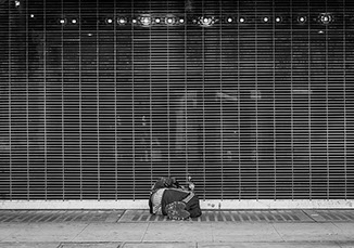 Temple Akiba Camp website design