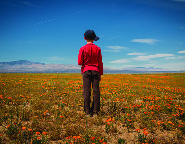 Temple Akiba Camp website design