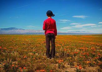 Temple Akiba Camp website design