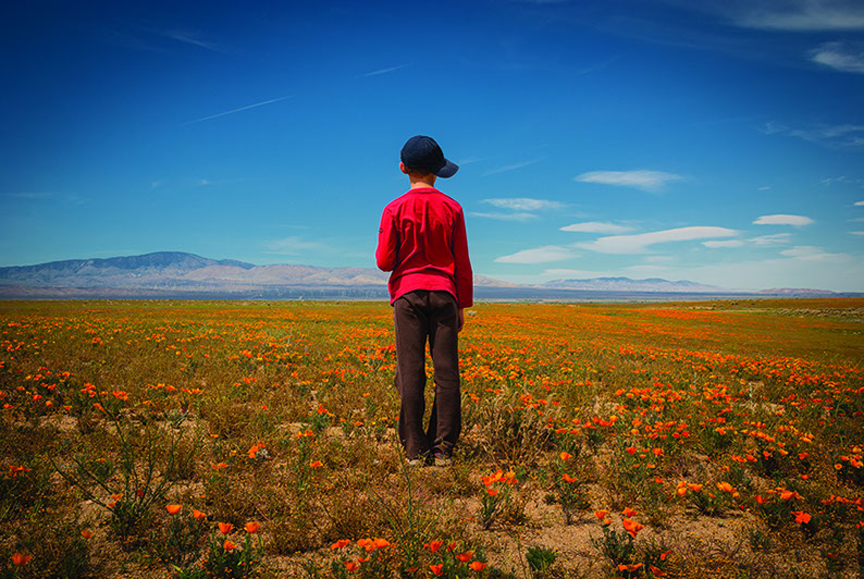 Temple Akiba Camp website design