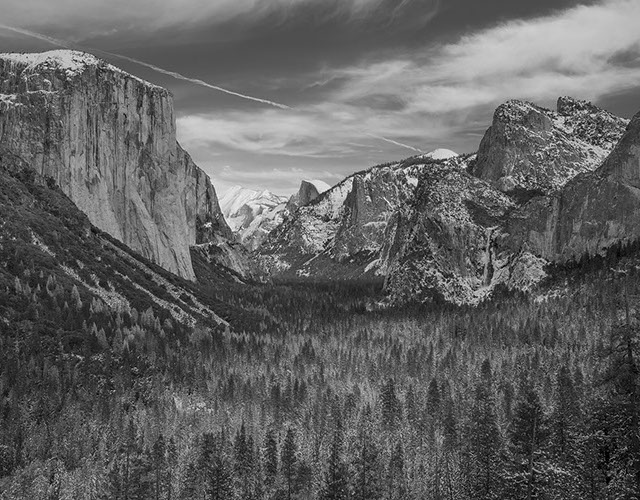 Temple Akiba Camp website design