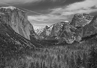 Temple Akiba Camp website design