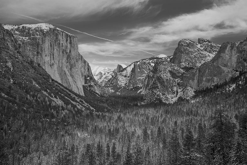 Temple Akiba Camp website design